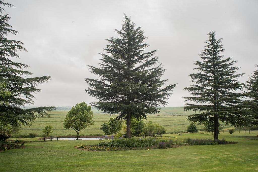 Glen Ormond Country House Henburg Park Экстерьер фото