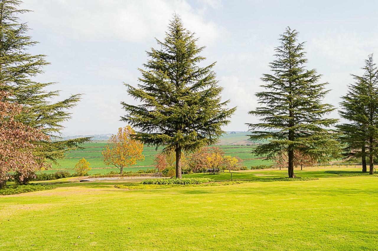 Glen Ormond Country House Henburg Park Экстерьер фото